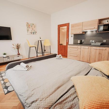 Elegant Studio, 400M From The Square Apartment Пилзен Екстериор снимка