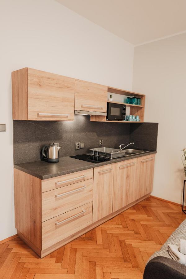 Elegant Studio, 400M From The Square Apartment Пилзен Екстериор снимка